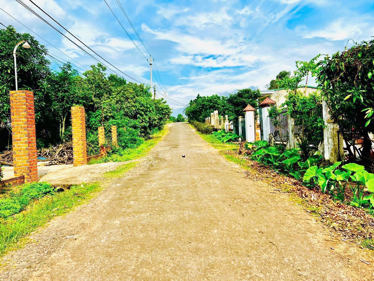 Bán đất 135m² giá 229 triệu Xã Ea Ning