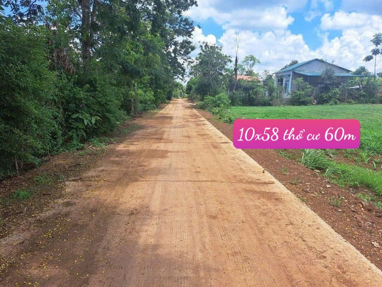 Đất thổ cư Cư Kuin 585m² ngang 10m giá 350 triệu Xã Ea Ning
