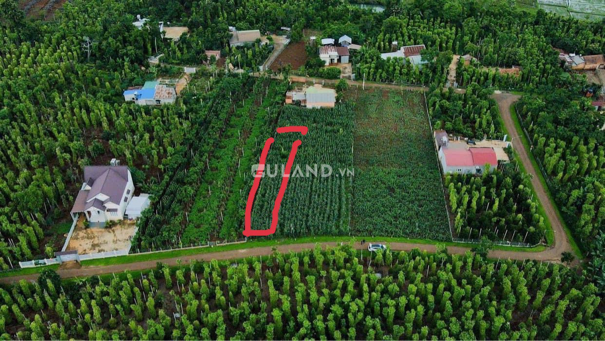 BÁN LÔ ĐẤT MT ĐƯỜNG NHỰA THUỘC XÃ EANING ĐẸP MIÊN MA