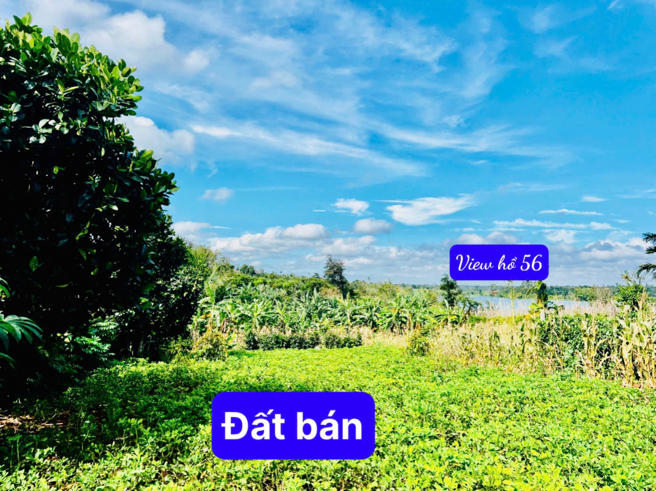 🌈🌈Bán lốc 4 lô bê tông view hồ 56 tại xã EaNing, huyện Cư Kuin, Dak Lak