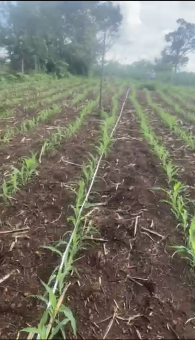 Bán đất giá rẻ