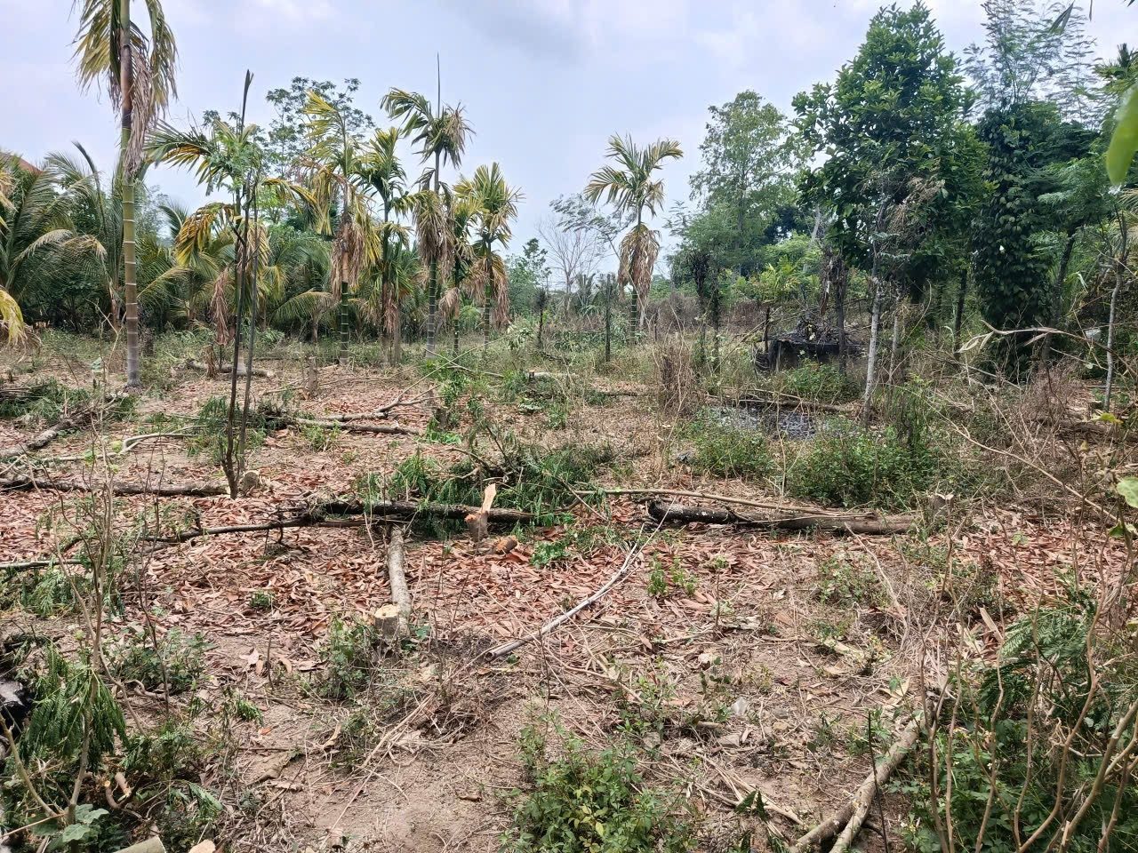 Bán đất 8000m² ngang 50m giá 2.2 tỷ tại Xã Ea Nuôl