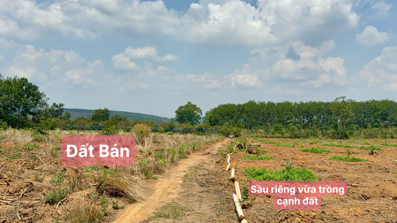 Bán đất Eahleo, Daklak đất 2 mặt tiền siêu đẹp