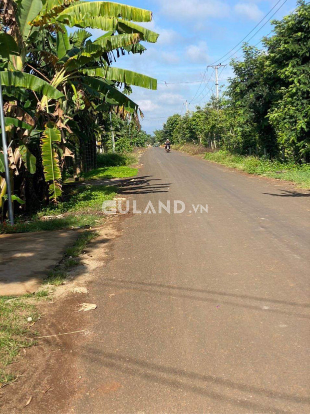 Bán  đất thổ cư 1445m² , giá 1.9 tỷ tại, Xã Ea Tiêu, Huyện Cư Kuin, Đắk Lắk