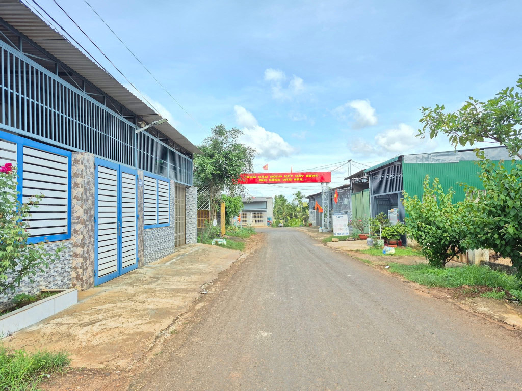 ĐẤT MẶT TIỀN MẬU THÂN