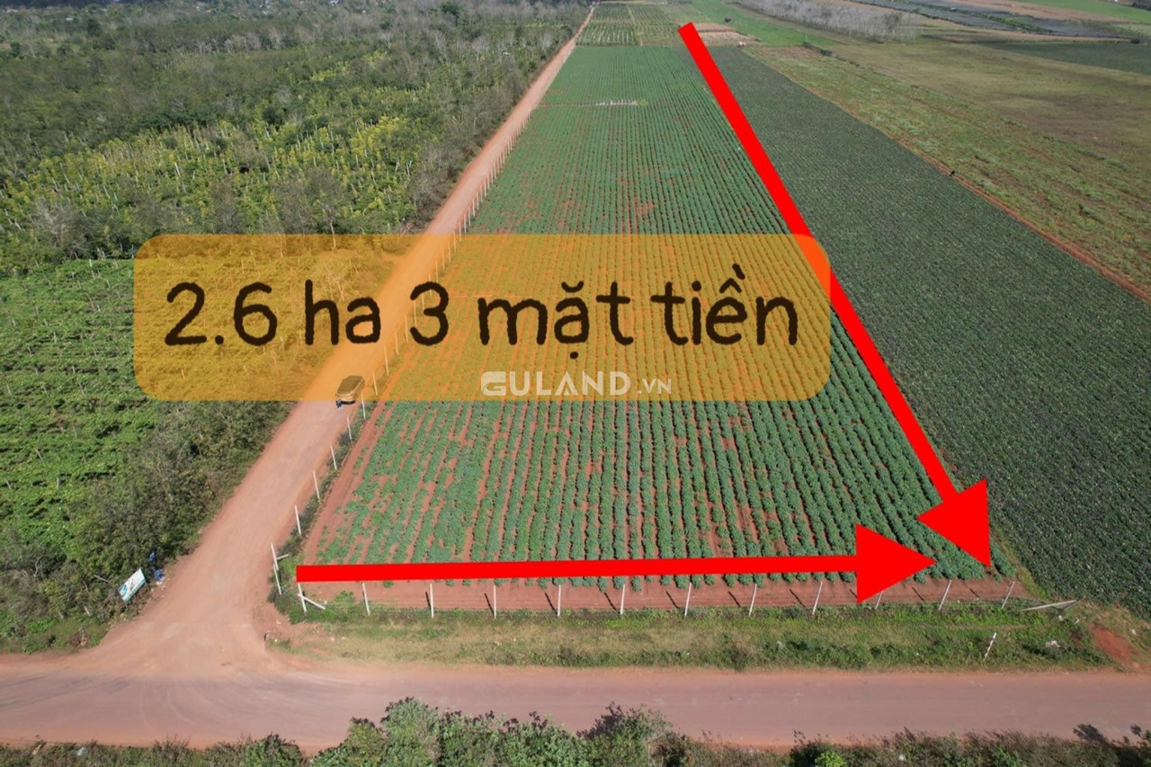 Bán  đất 3 mặt tiền nông nghiệp 26566m² , 500m mặt đường giá 5.5 tỷ tại, Huyện Cư M'gar, Đắk Lắk