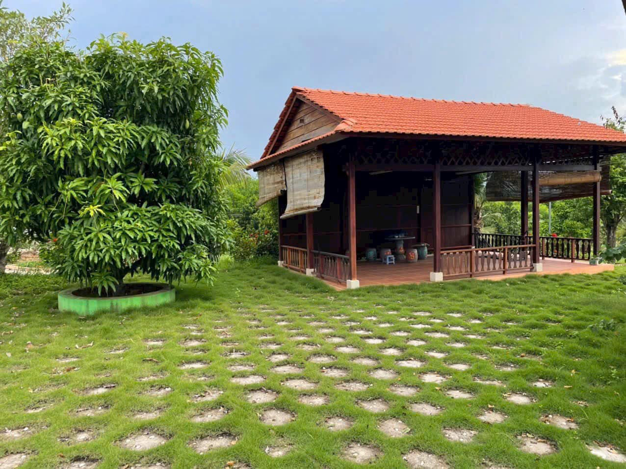 🌿 BÁN ĐẤT NHÀ VƯỜN SINH THÁI TẠI DẦU GIÂY – GIÁ CHỈ 850 TRIỆU/1000M² 🌿