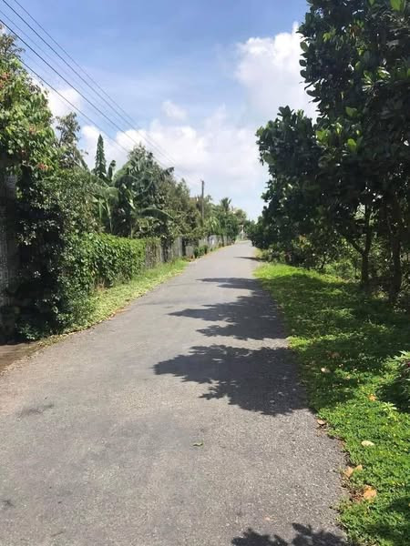 CƠ HỘI CÓ 1-0-2: SỞ HỮU ĐẤT VƯỜN VIEW THUNG LŨNG SẦU RIÊNG & SUỐI NHỎ THƠ MỘNG — GIÁ CHỈ 800 TRIỆU/SÀO!