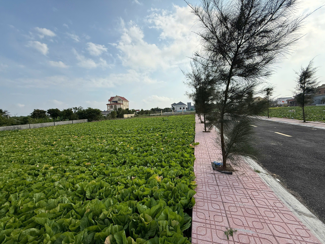 Bán đất 94.1m² 2.05 tỷ tại Xã Giao Phong Huyện Giao Thủy
