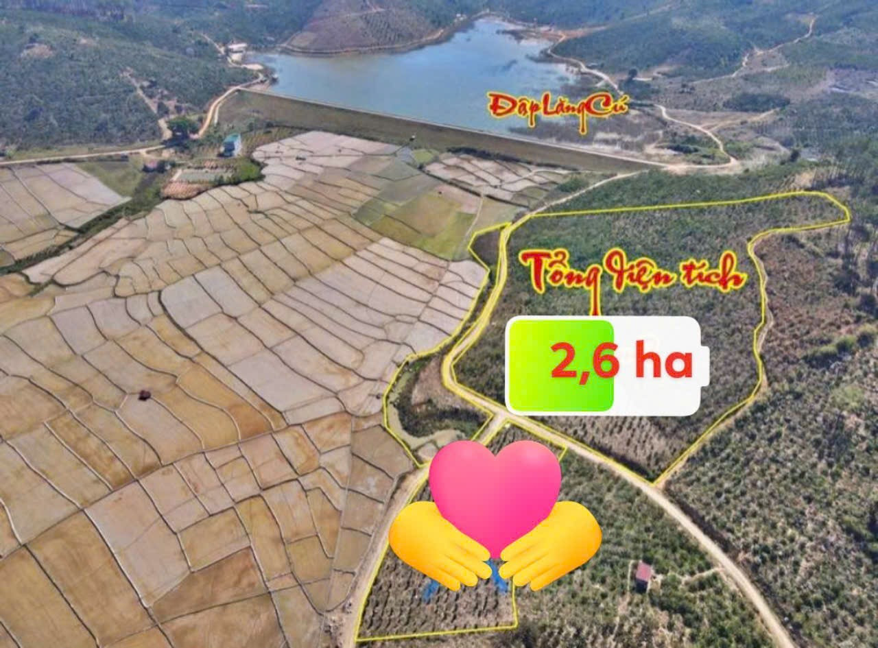 Bán đất 260000m² 3.9 tỷ tại Xã Gung Ré Huyện Di Linh