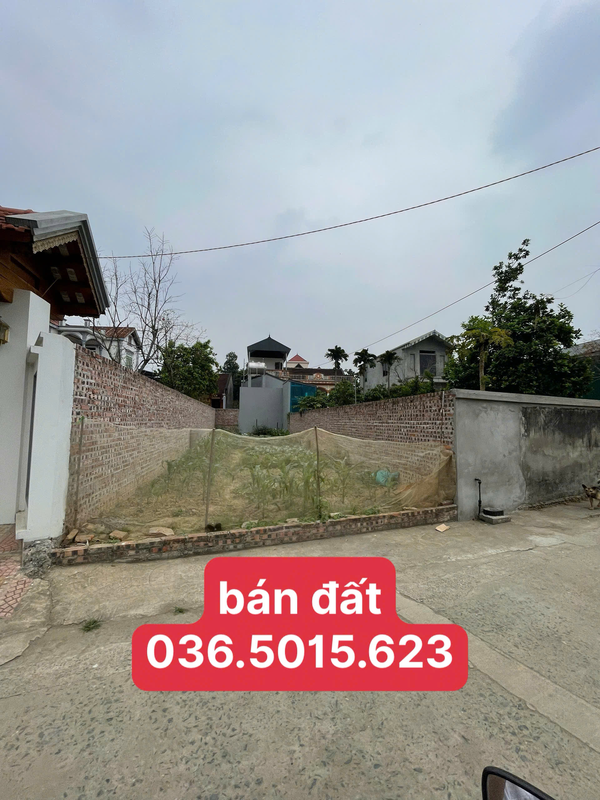 CHÍNH CHỦ CẮT LỖ 300TR BÁN NHANH MẢNH ĐẤT HƠN 100M2 GIÁ 3ty7