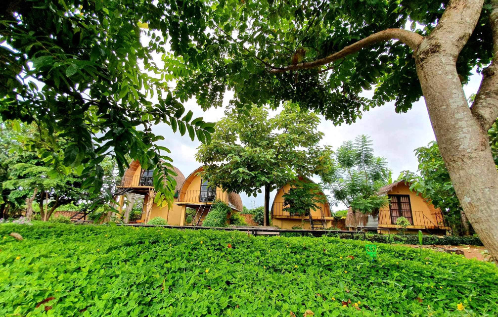 🏕 Sang lại Homestay đang hoạt động gần khu du lịch Biển Hồ, Gia Lai