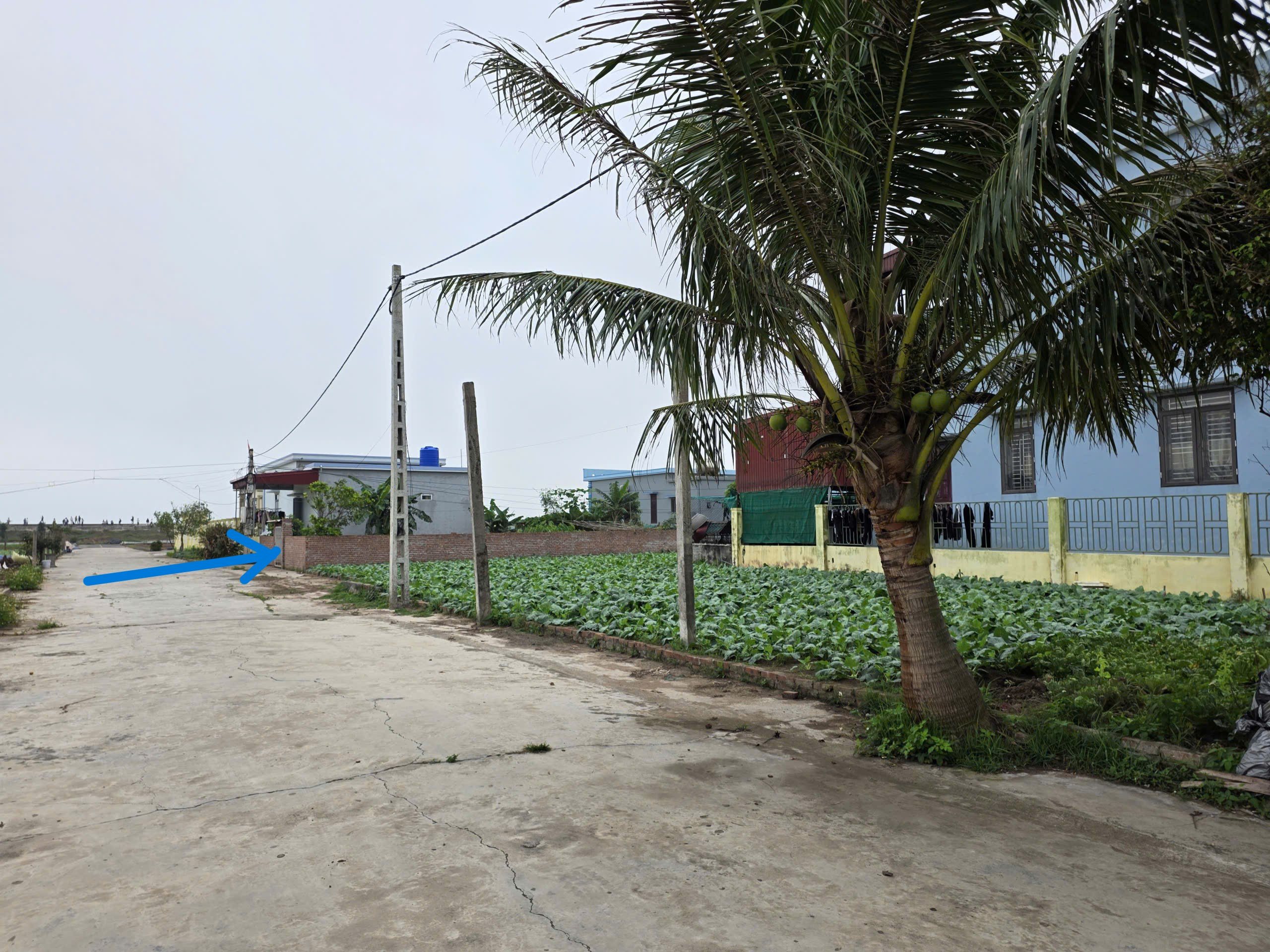 ĐẤT DU LỊCH BIỂN, MẶT ĐƯỜNG TRỤC CHÍNH QUA BIỂN, KINH DOANH SẦM UẤT, Ô TÔ TRÁNH VỈA HÈ