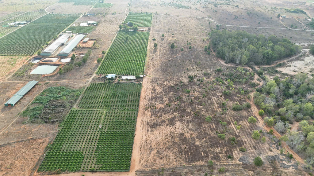 Bán đất gần Biển-Hàm Cường Huyện Hàm Thuận Nam-DT 8,7Ha+10Ha