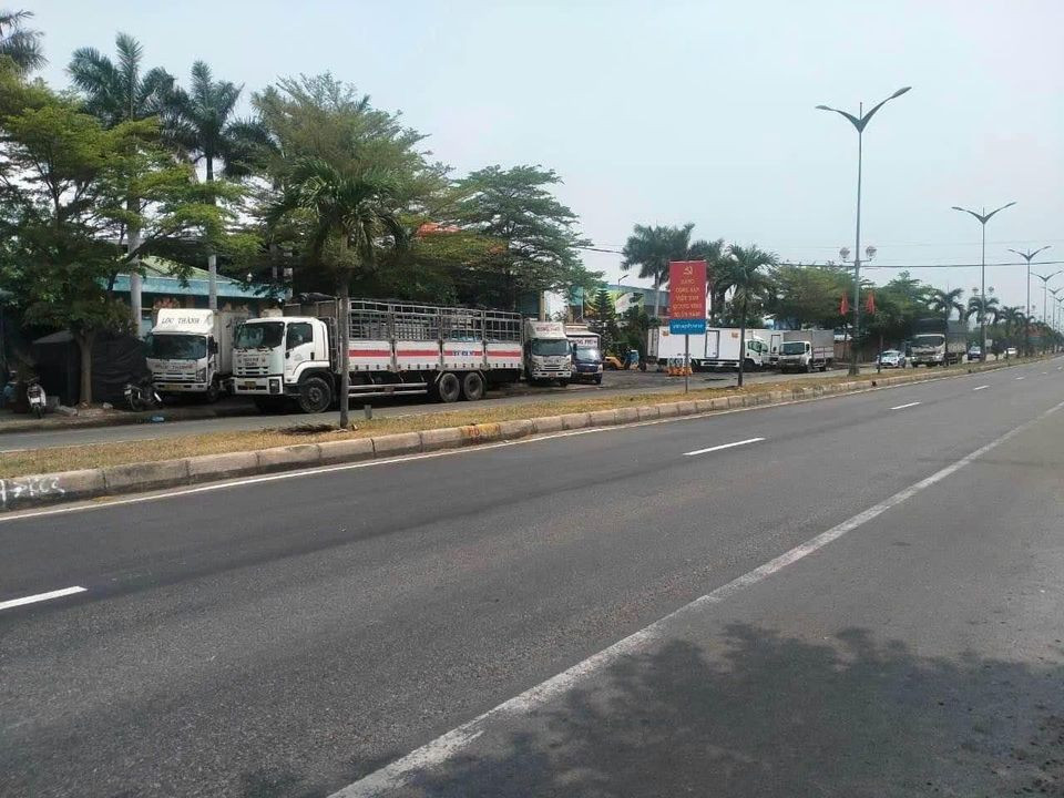 Ngộp bán nhanh-Đất mặt tiền 50m QL1A-Hàm Đức-Hàm Thuận Bắc-DT 1,3 sào,có 400m2TC