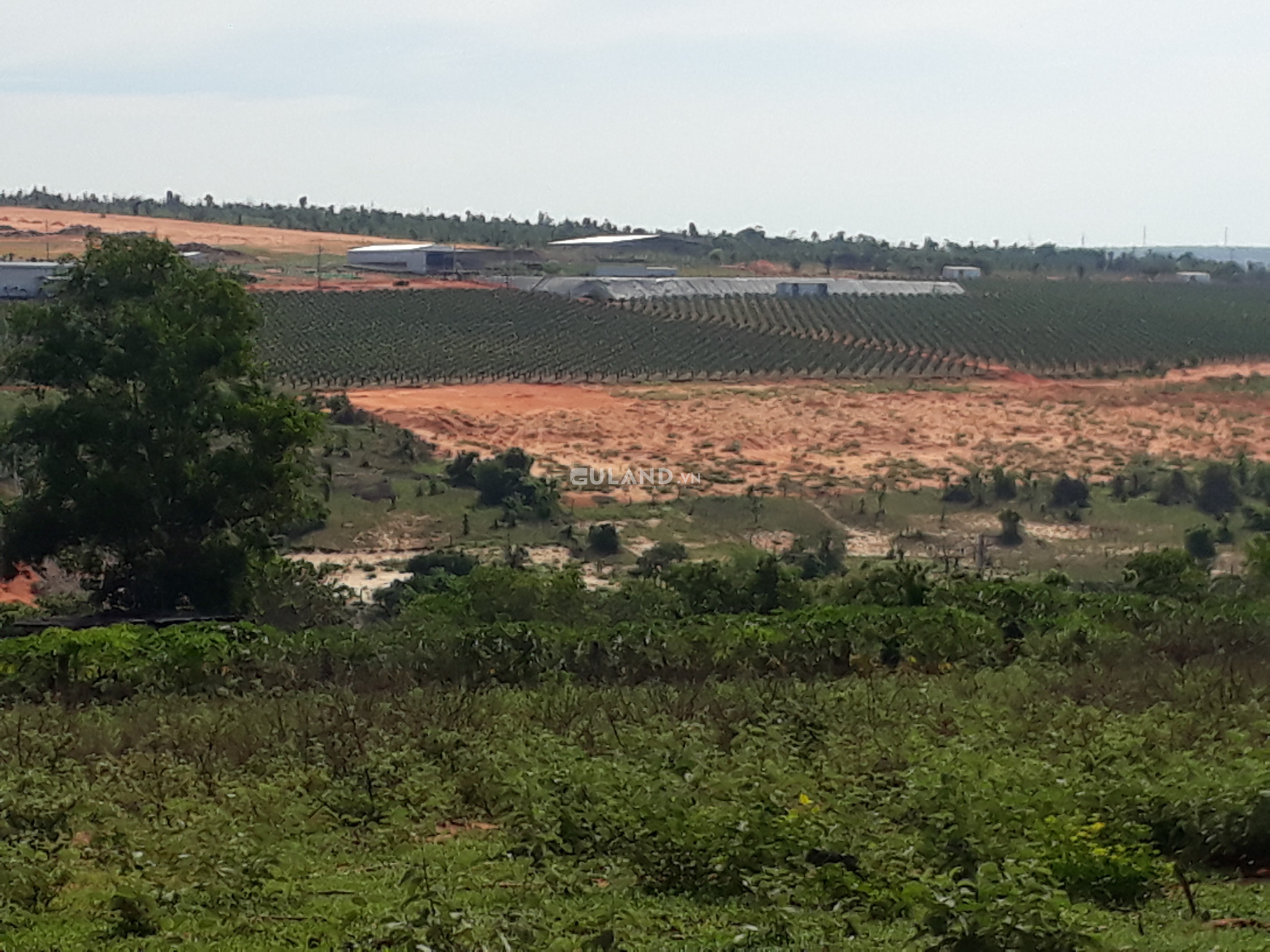 Bán  đất nông nghiệp 2000m² , giá 2 tỷ tại, Xã Hàm Đức, Huyện Hàm Thuận Bắc, Bình Thuận