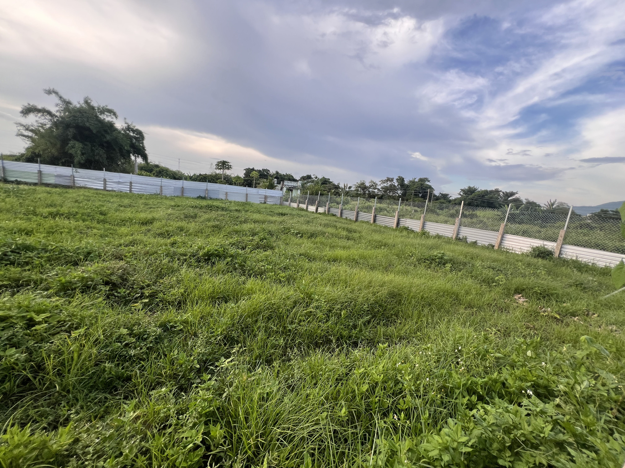 Bán đất 1460m² ngang 45m giá 1 tỷ Xã Hàm Liêm