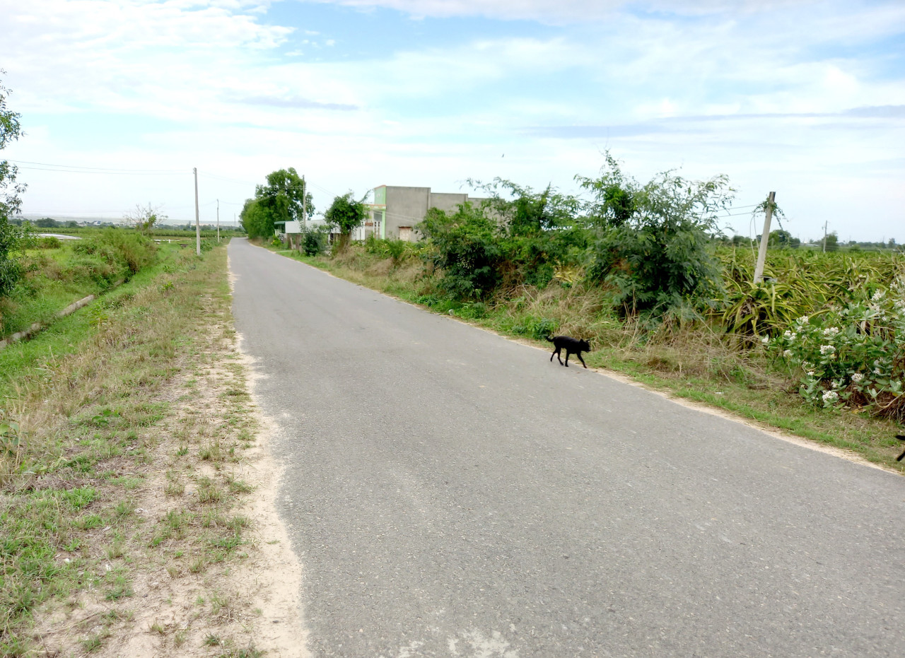 Bán đất 11300m² ngang 100m giá 5.6 tỷ Xã Hàm Liêm