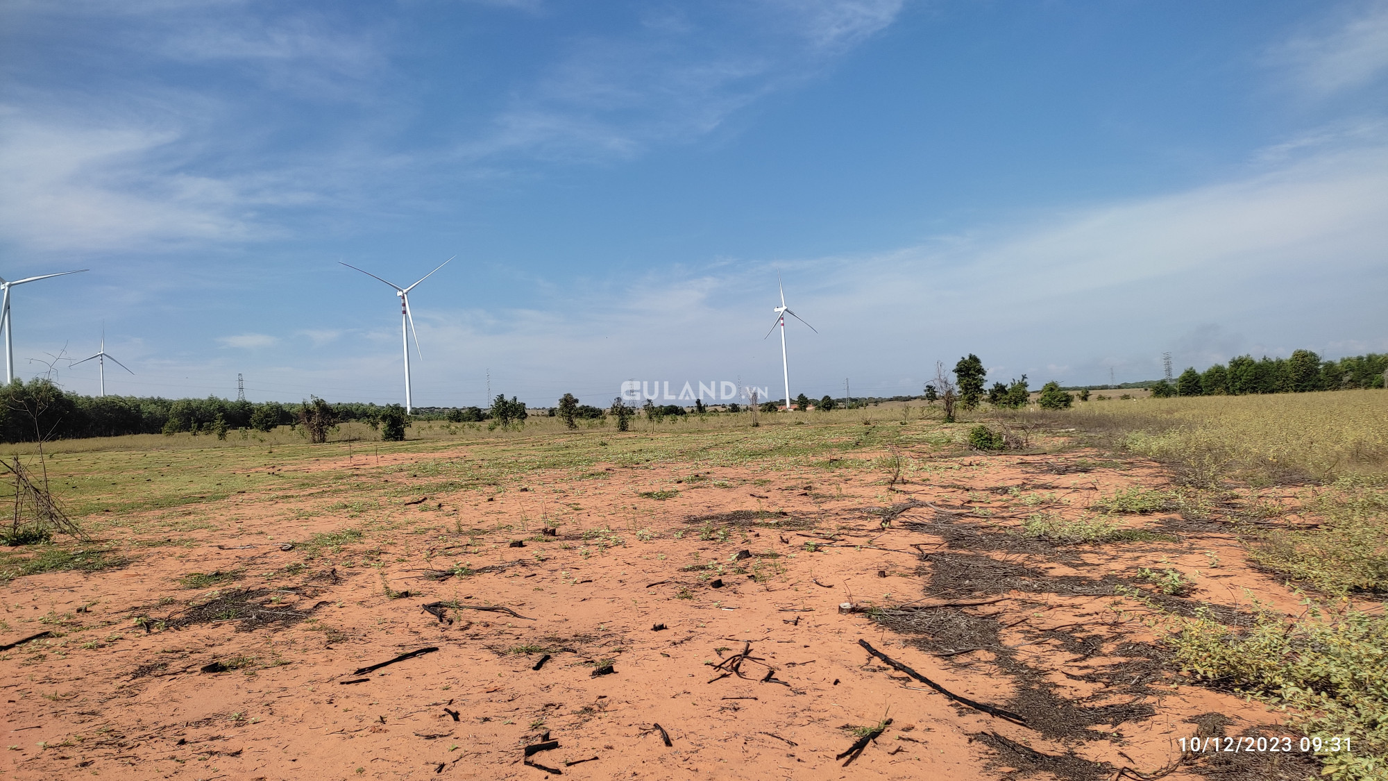 Đất Bình Thuận view điện gió giá siêu rẻ