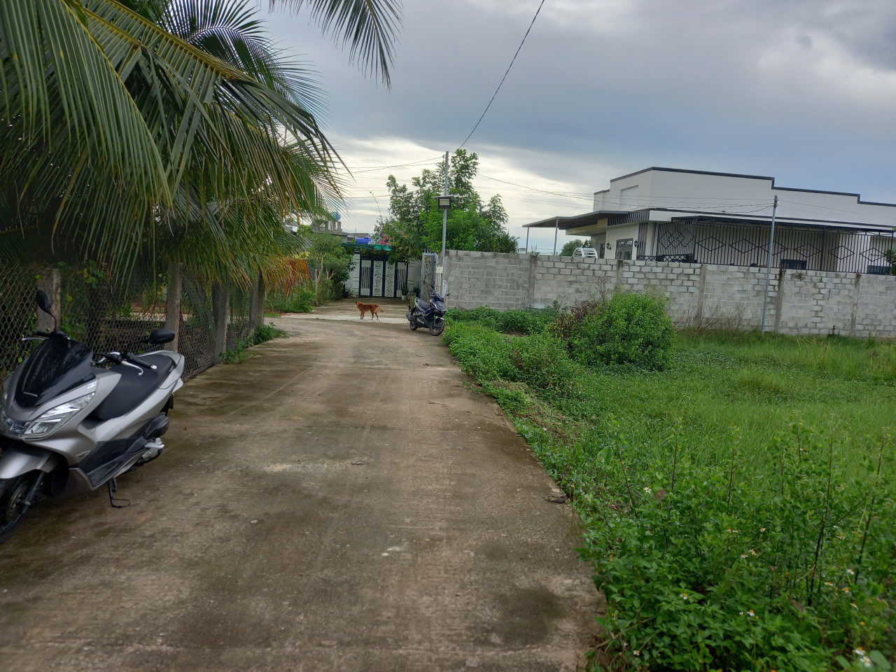 Bán nhanh-Đất View Suối,đường Xoài Quỳ-Kim Bình-Hàm Thắng-1 sào+ 4 Sào