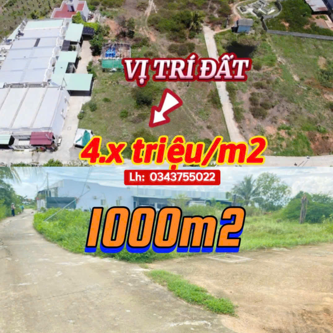 BÁN 1000m² THỔ CƯ – KDC CÁ ĐỒNG HÀM THẮNG (BÌNH THUẬN)