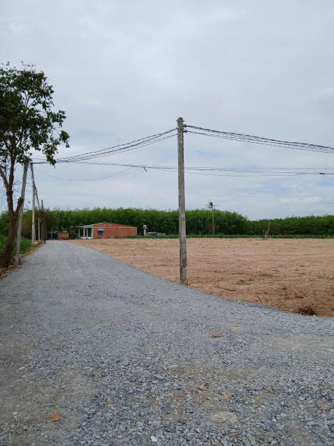 Bán đất thổ cư 125m² 199 triệu tại Xã Hảo Đước Huyện Châu Thành