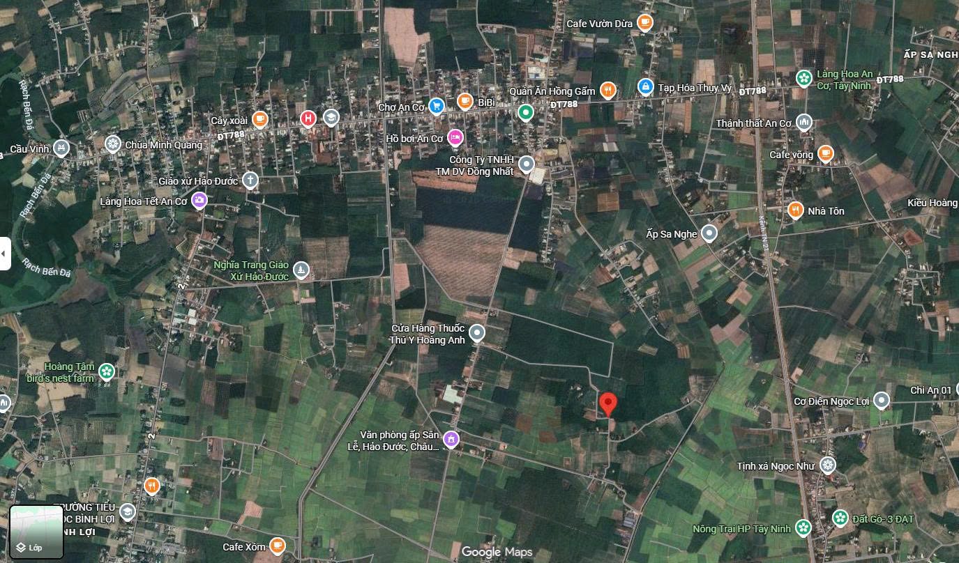 Cách trung tâm hành chính Hảo Đước,Châu Thành, Tây Ninh 1km,với 458m2,có 50m2 thổ cư. Chỉ 498triệu
