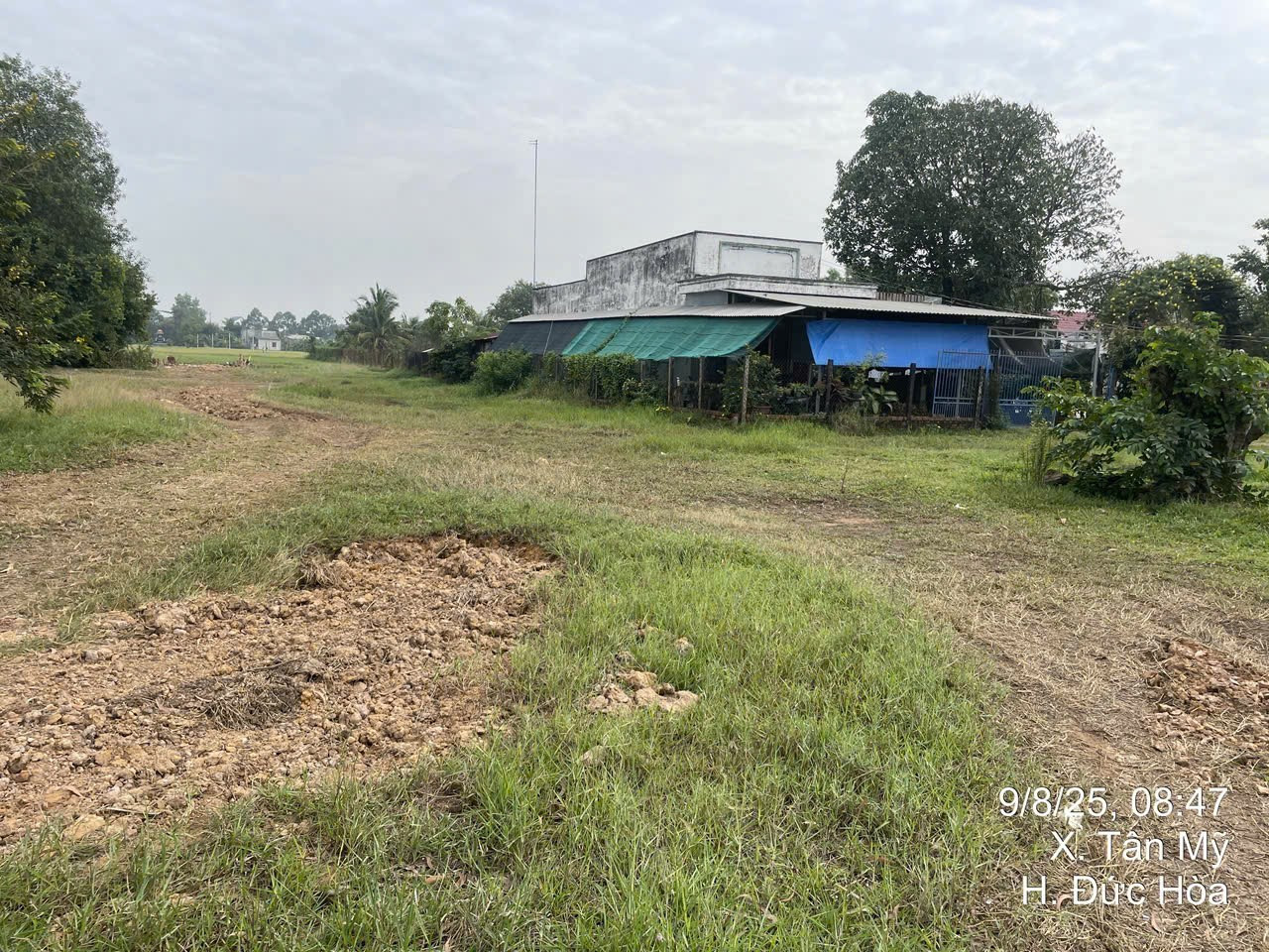 965m2 thổ tỉnh lộ 822 ngã 4 tân mỹ