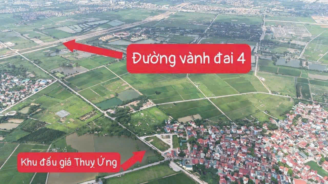 Đấu giá Thụy Ứng lô 14 siêu đẹp trục chính lên hàng cho quý nhà đầu tư
