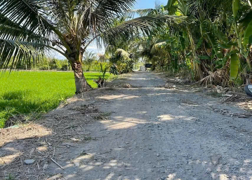 HÓT! HÓT! HÓT ! ĐẤT ĐẸP - GIÁ YÊU THƯƠNG -  Vị Trí Tại : Hiệp Đức  - Cai Lậy - Tiền Giang