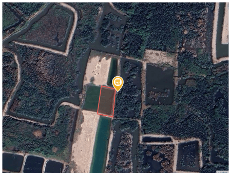 Bán đất 1750m² ngang 30m giá 2.63 tỷ tại Xã Hiệp Phước Huyện Nhà Bè