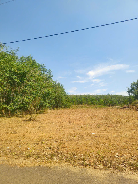 Bán đất 3142m² ngang 27,6m giá 3.14 tỷ Xã Hồ Tràm