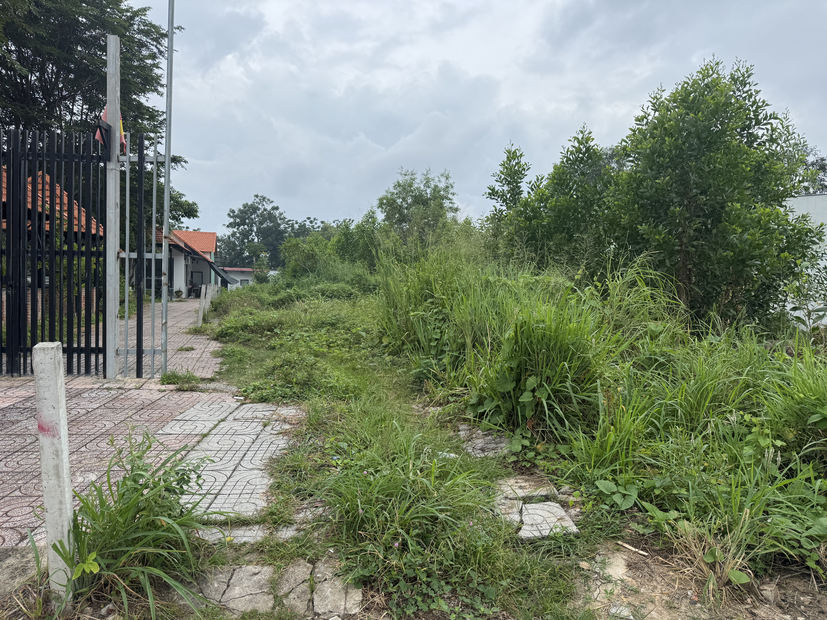 Bán đất 503.8m² ngang 7m Xã Hồ Tràm