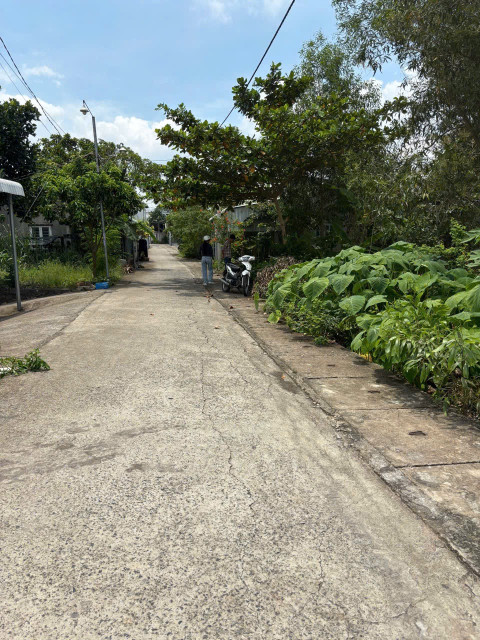 Bán đất 261,1m² ngang 9m giá 1.75 tỷ Xã Hồ Tràm Xuyên Mộc