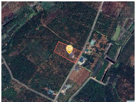 Bán nhà 3563m² ngang 40m  sâu85mgiá 2.8 tỷ tại Xã Hòa Bắc Huyện Di Linh