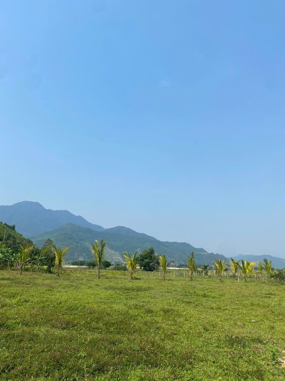 📌📌📌LÀM VIỆC TRỰC TIẾP GIÁ TỐT !!! Bán đất thôn Nam Yên, xã Hòa Bắc