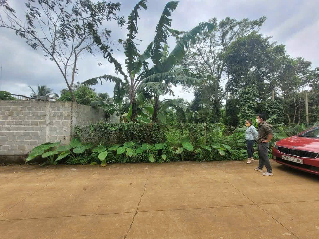 Bán đất 164.9m² tại Xã Hòa Đông Huyện Krông Pắc