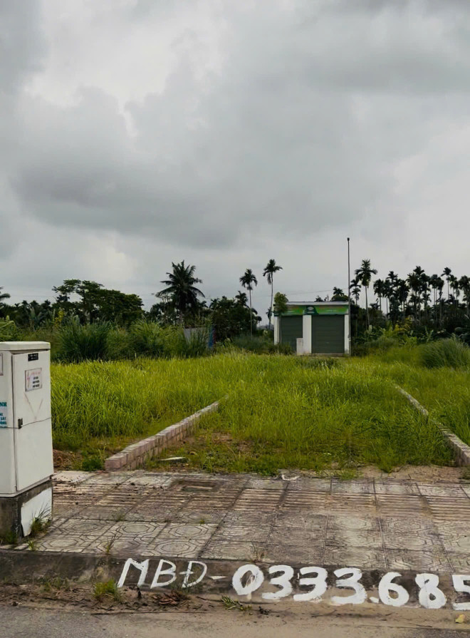 Bán đất 68.3m² ngang 4m giá 3.98 tỷ tại Hoa Động Thuỷ Nguyên. liên hệ 0362558882