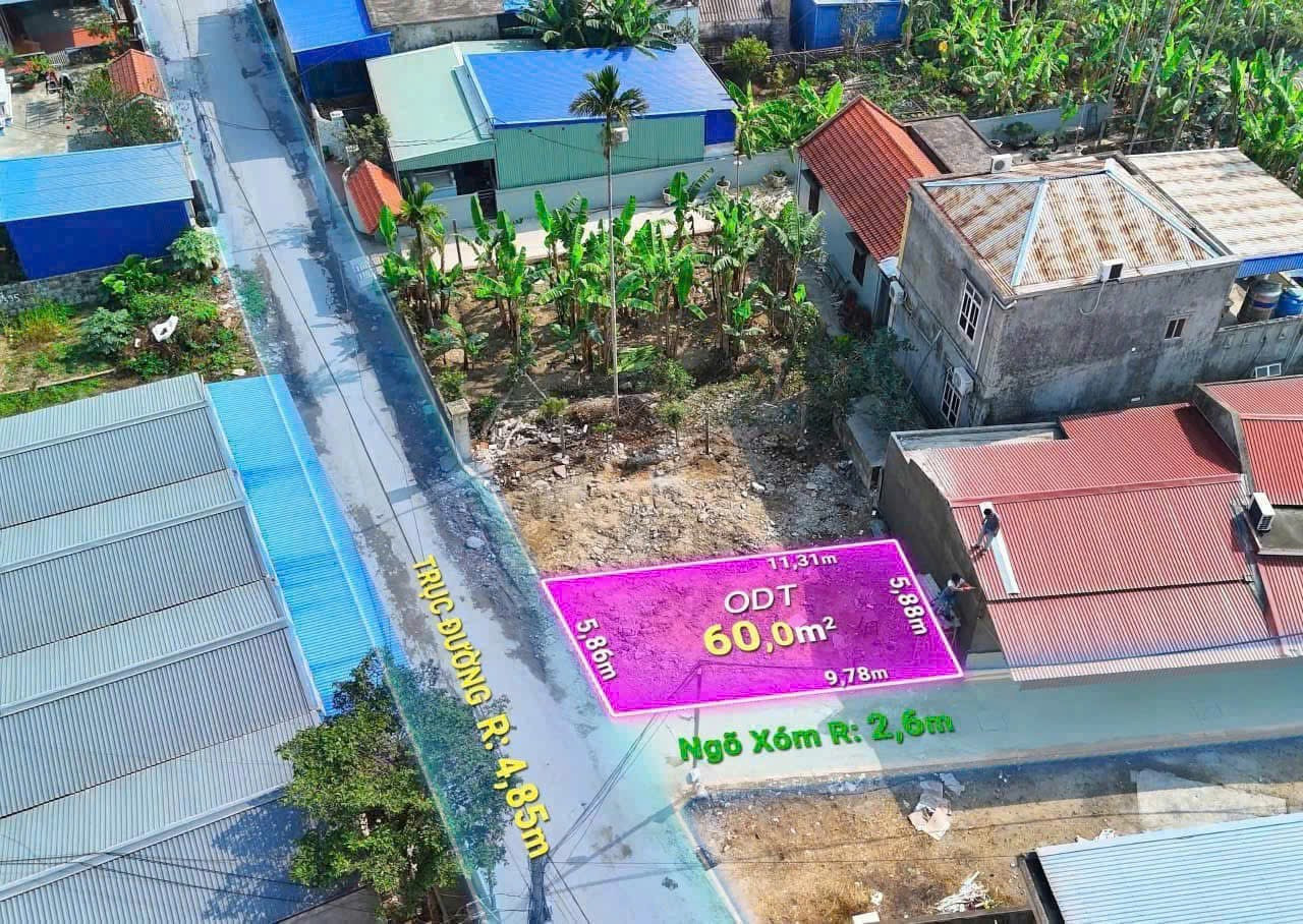 Bán đất 60m² 2,05 tỷ tại Xã Hoa Động Huyện Thuỷ Nguyên. mặt đường 7m. liên hệ 0362558882