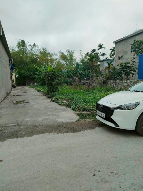 Bán đất 100m² đường 5m. giá 2.88 tỷ tại Hoa Động Thuỷ Nguyên. liên hệ 0362558882