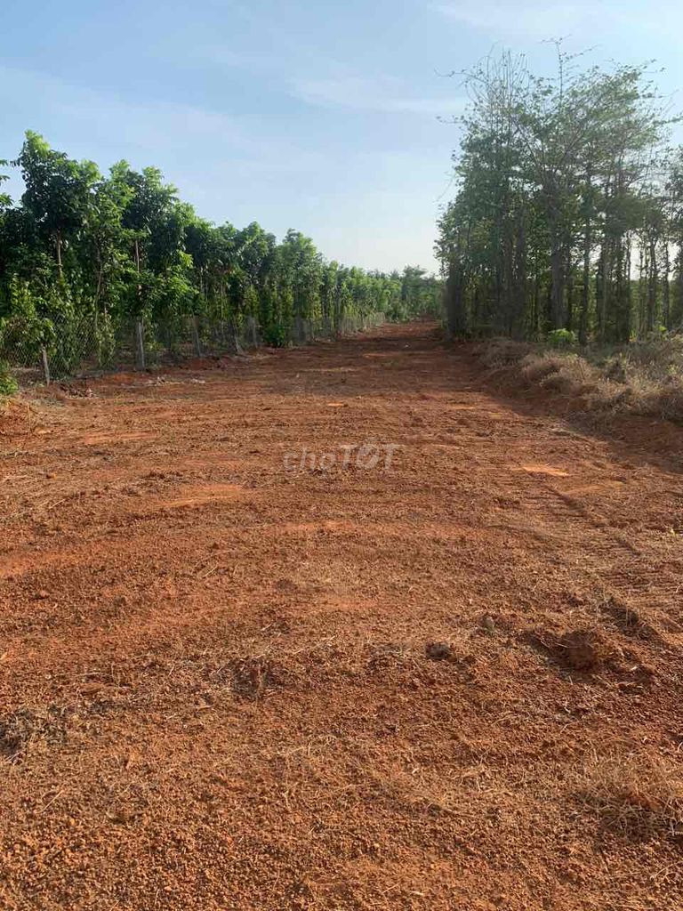 Bán đất 4081m² ngang 30m giá 2.1 tỷ Xã Hòa Hiệp