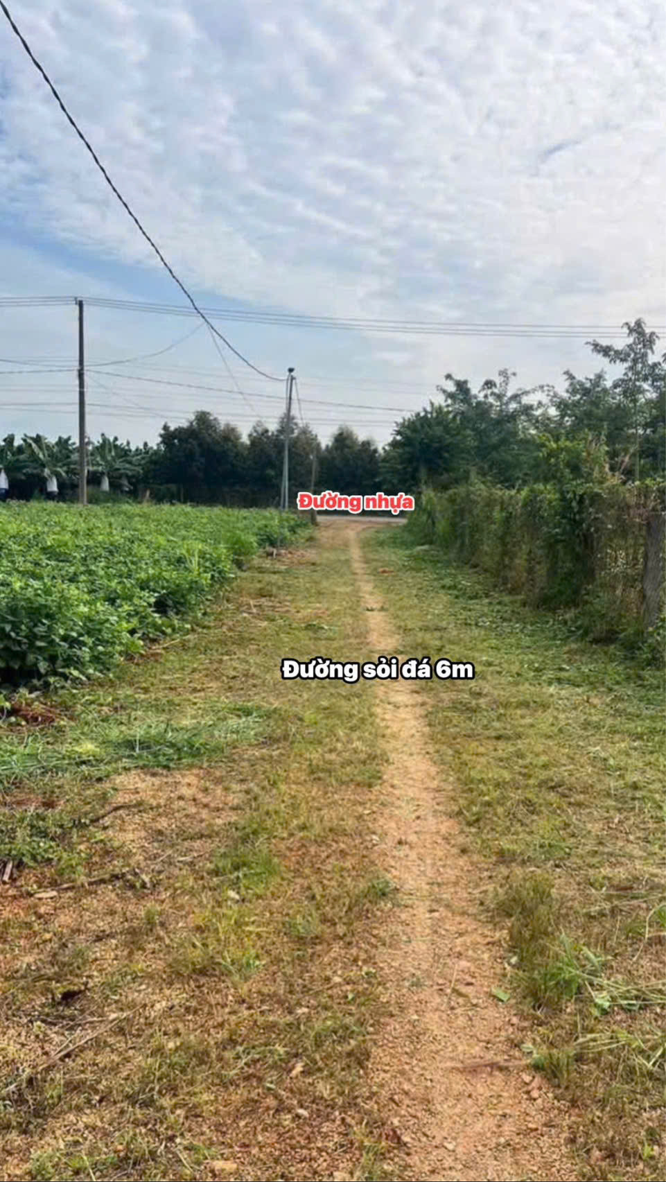 Bán đất 450.6m² ngang 12m giá 690 triệu Xã Hòa Hiệp