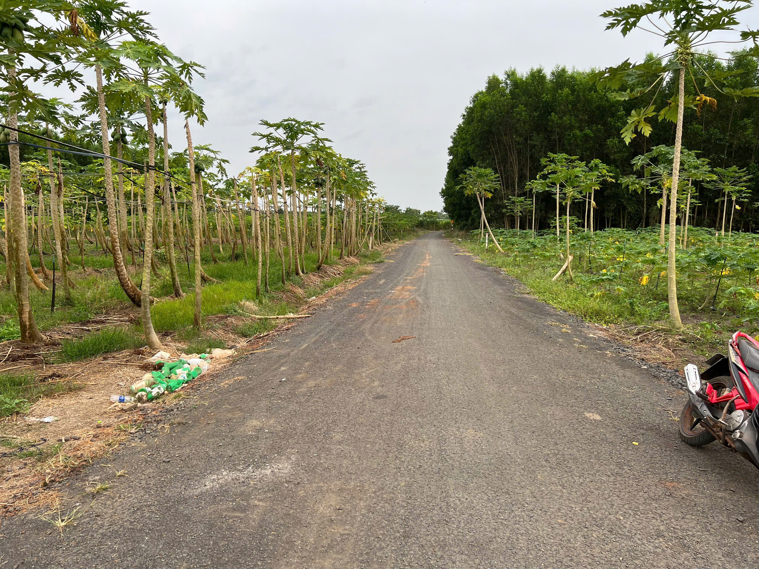 Bán đất 5695m² ngang 82m giá 2.5 tỷ tại Xã Hòa Hiệp