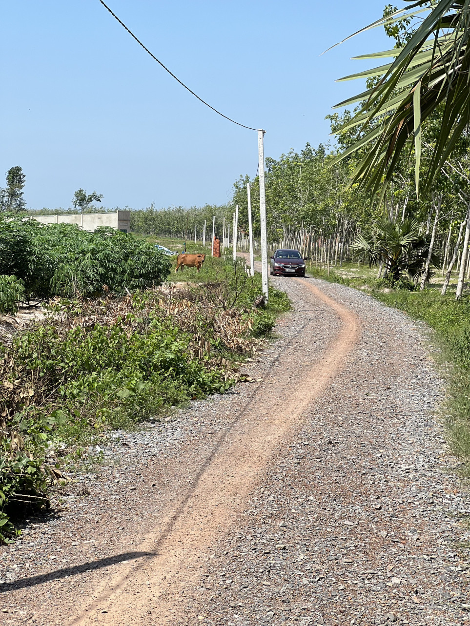 Không rẻ không lấy tiền