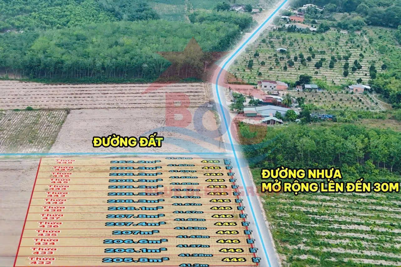 MẶT TIỀN NHỰA 30M ĐẤT NỀN HÒA HỘI - TÂY NINH GIÁ CỰC SỐC
