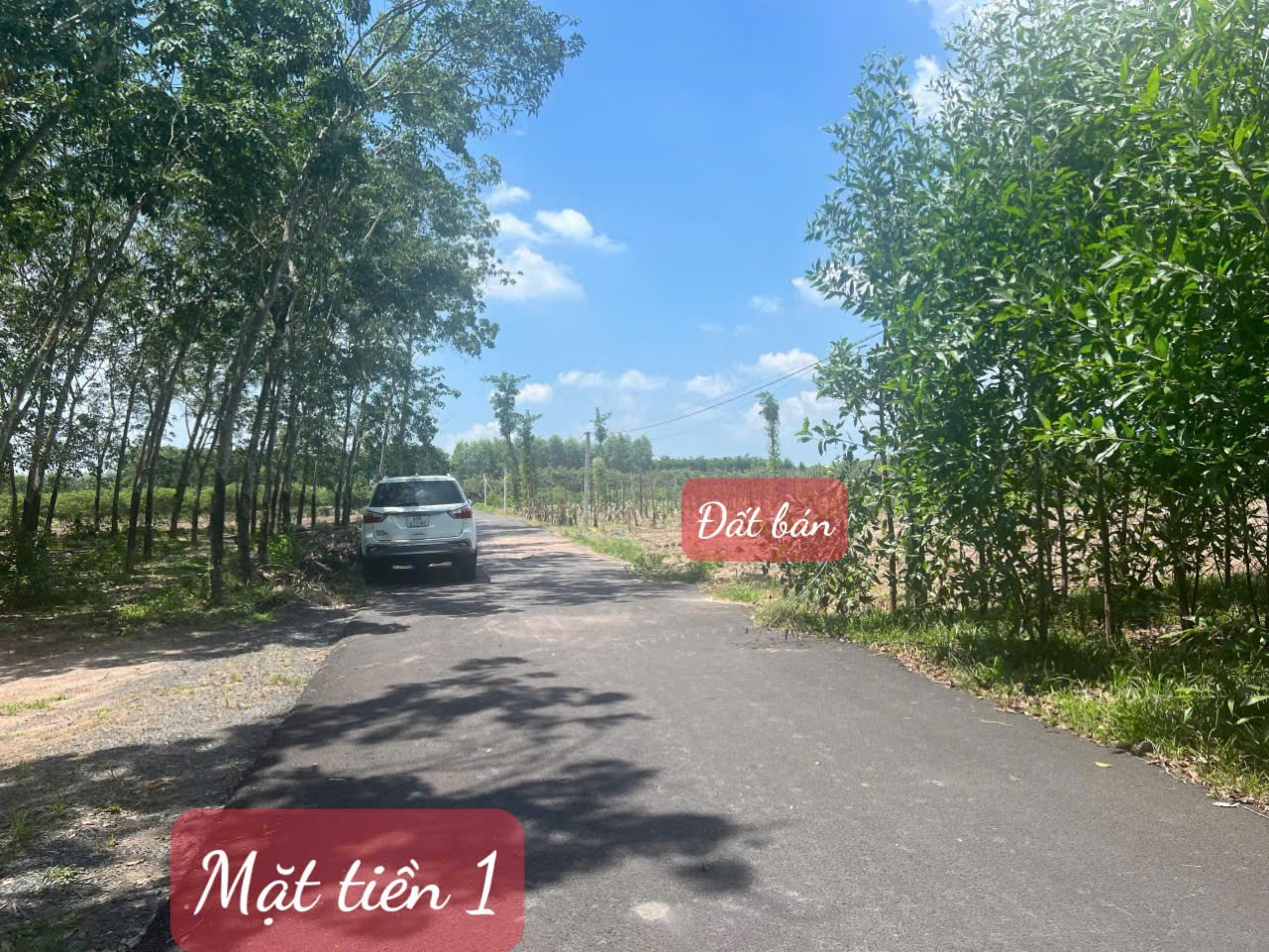 Đất mặt tiền Nhựa 8300m² 2mt ngang 70m giá 5.3 tỷ tại Xã Hòa Hội Huyện Xuyên Mộc