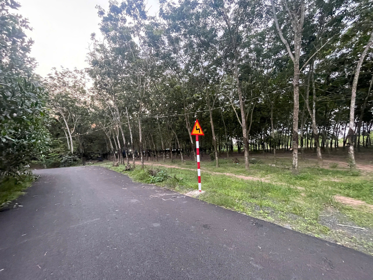 Bán 1.3ha đất thổ cư mt nhựa. Xã Hòa hội. Xuyên mộc