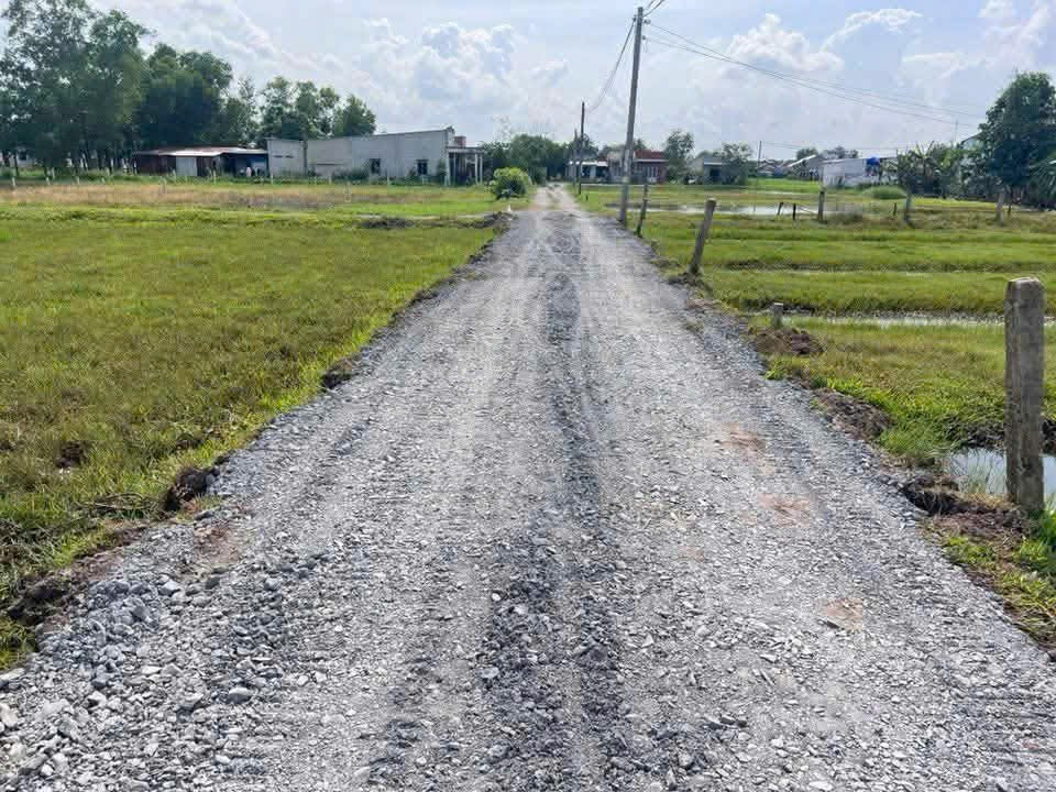 Bán đất 137.1m² ngang 15m giá 2.6 tỷ tại Xã Hòa Khánh Đông Huyện Đức Hòa