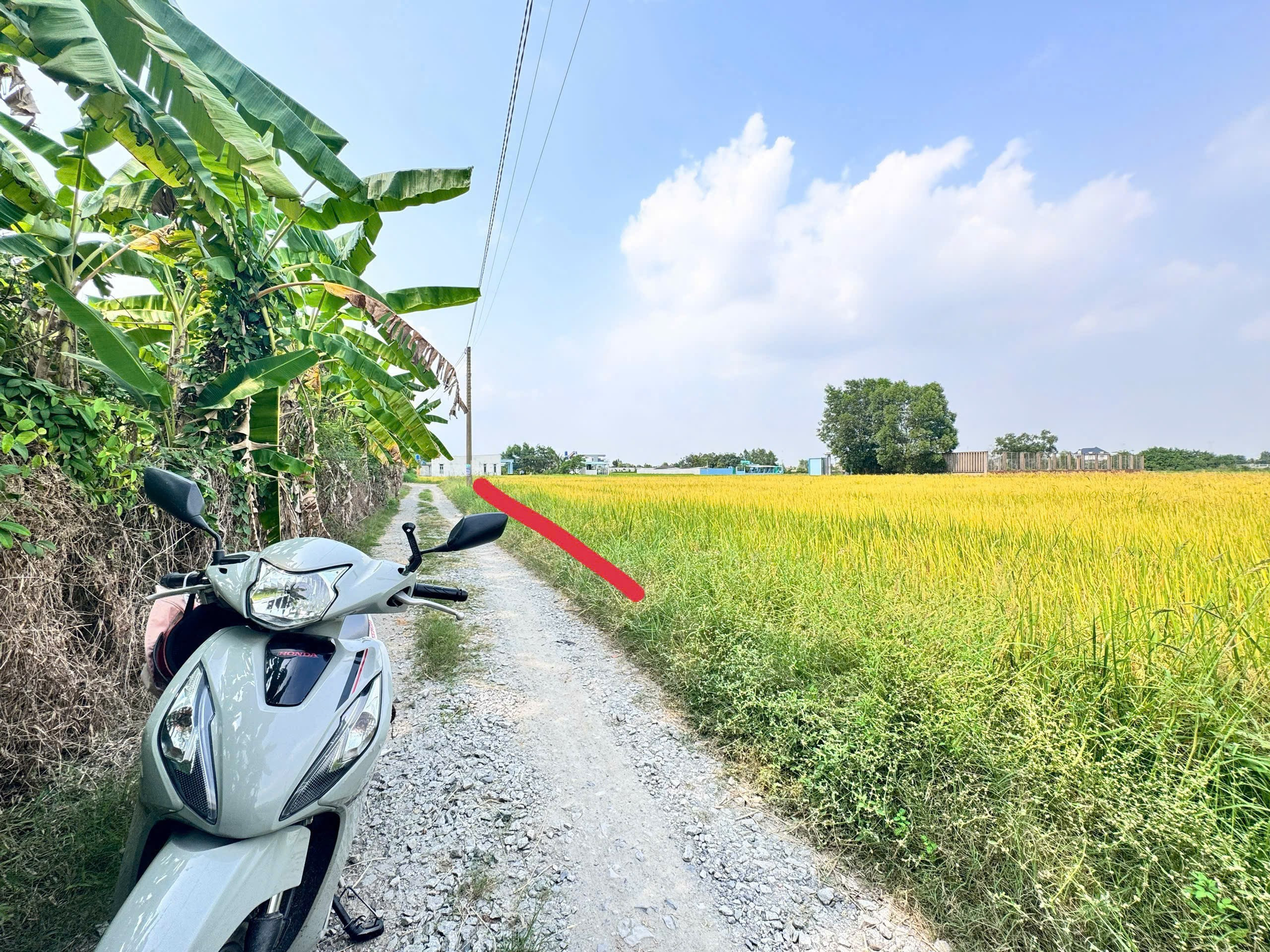 Bán đất 110m² full thổ cư ngang 5m giá 650 triệu tại Xã Hòa Khánh