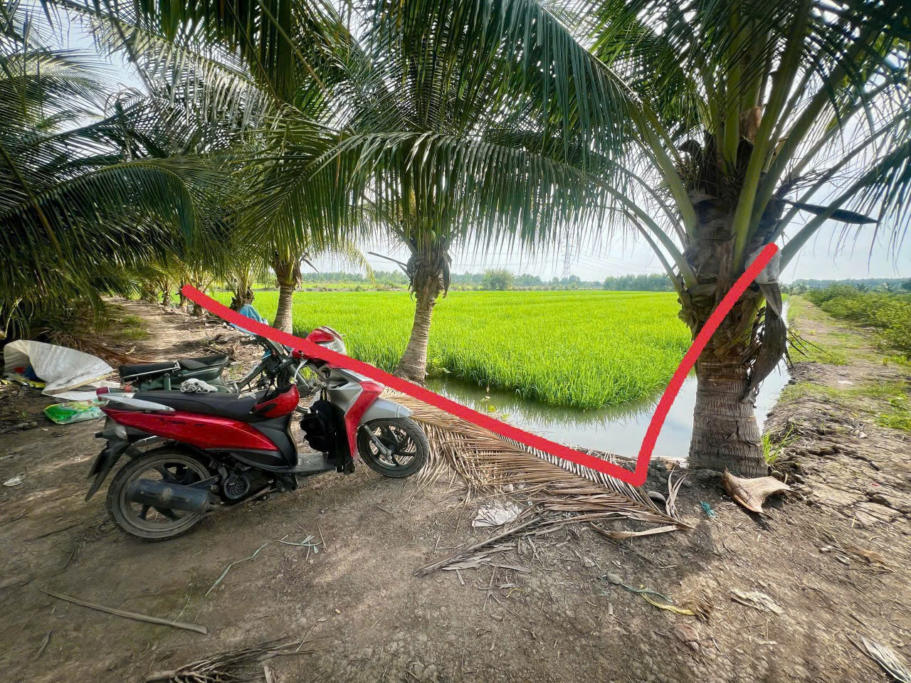 Bán đất 3992.2m² ngang 30m giá 2.7 tỷ tại Xã Hòa Khánh Tây Huyện Đức Hòa